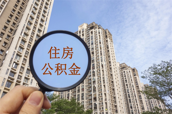 嘉兴个人公积金去哪儿取（住房公积金个人到哪里提取）